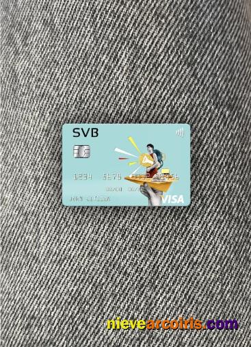 USA SVB Financial Group visa card photolook